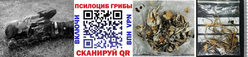 Псилоцибиновые грибы GOLDEN TEACHER  Алагир 
